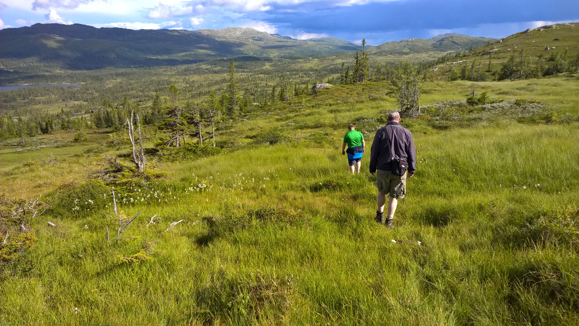 WP_20160801_17_14_39_Pro (2).jpg